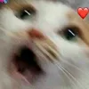 ashyyycx