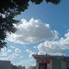 samarsamirzain54