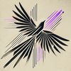 midnight_crusader117
