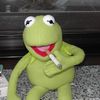 mr.reefa