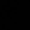 shadicrtz