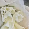 liz30590