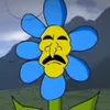 markjjamess