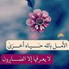 mznh_11_