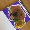 🎨✍🏻