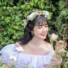lilliebui