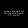 rymy_804p
