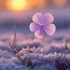 user1991hoanglinh
