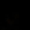 inaupthikarem00