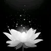 loinhudon_