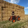 luke_25r