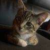 lilytn44