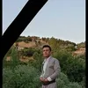 baharali566