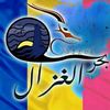 alzaimmoustapha