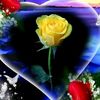 user648892648967094