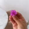 linaya_rifia
