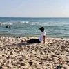 thai_dau