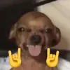 wuknn
