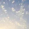 nour_nour993