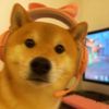 sheilaramos00