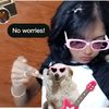 shibamcfluffy