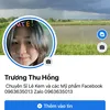 truongthuhong1996