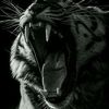 fademohamadaemad79