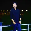 al_20h