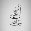 hamedk72