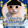 rafisqy16