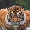 hasoon6687