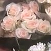 sweera26387