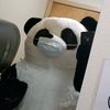 strong_panda