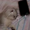 mxrdol