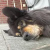 sven_coolen7