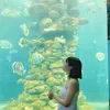 hienminichangagoi