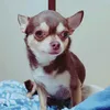 uiminoko1227