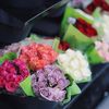 nawal3911