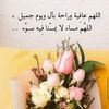 noura.107