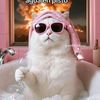 kitty_love2114