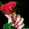 selam520
