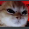 nzxzyzy