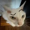 aphroo.o