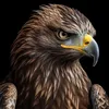 goldeneagle0924