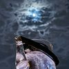 xr_j10