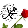 mtkingkhan9774