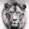 leo.cr94