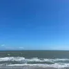 tinting_88
