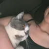 kphw_