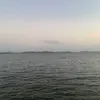 sne_156